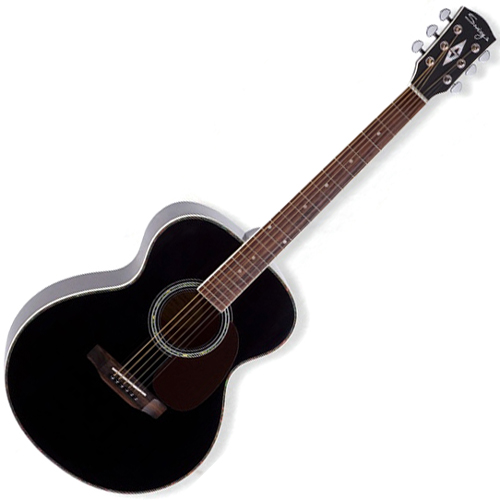 스윙 Dreadnought DT-30
