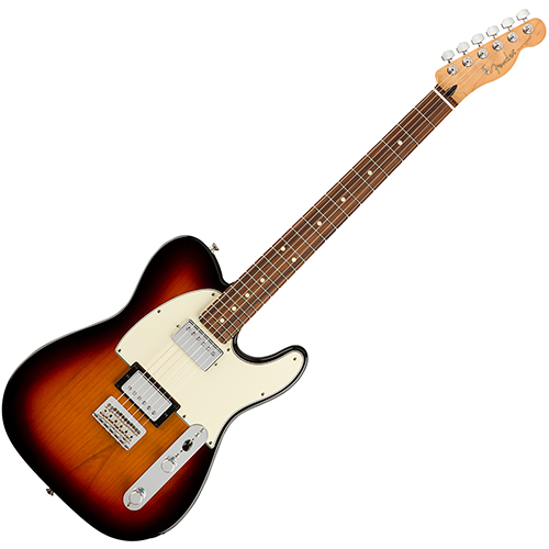펜더 Player Telecaster HH Pau Ferro