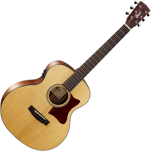 콜트 Little CJ Walnut