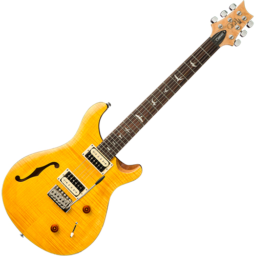 PRS SE SE Custom 22 Semi Hollow