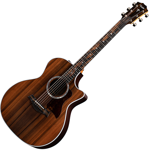 테일러 400 414ce LTD