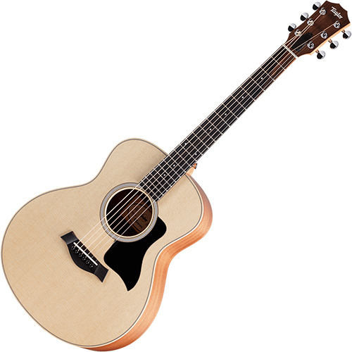 테일러 GS Mini Sapele