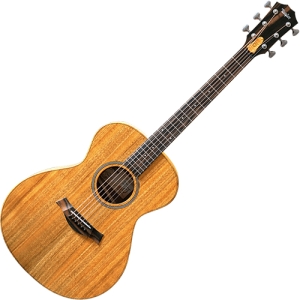 테일러 Jacob Collier Signature JCSM-6