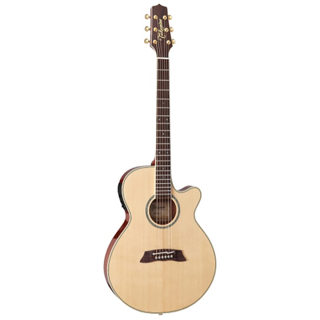 타카미네 Thinline TSP138C