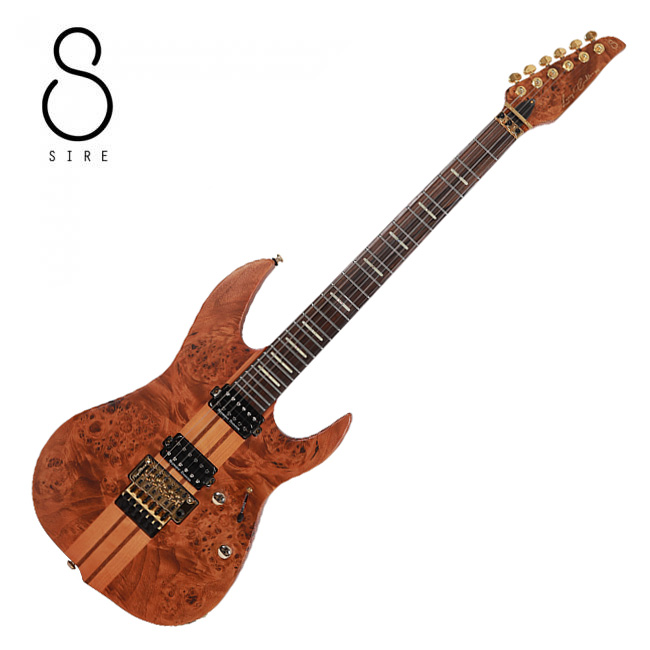사이어 Larry Carlton X10