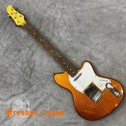아이바네즈 아이바네즈 RGR6BSP