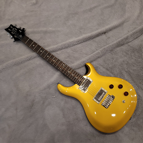 PRS SE SE DGT