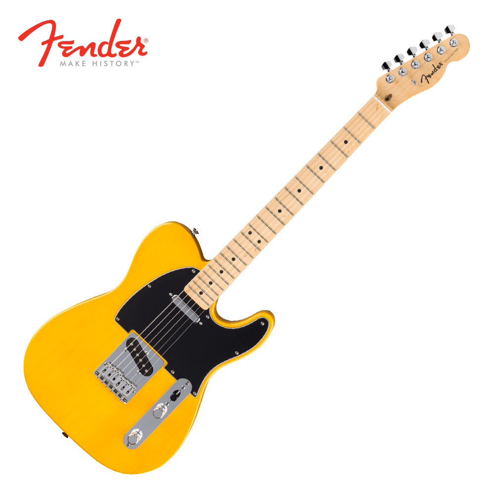 펜더 펜더 Standard Stratocaster