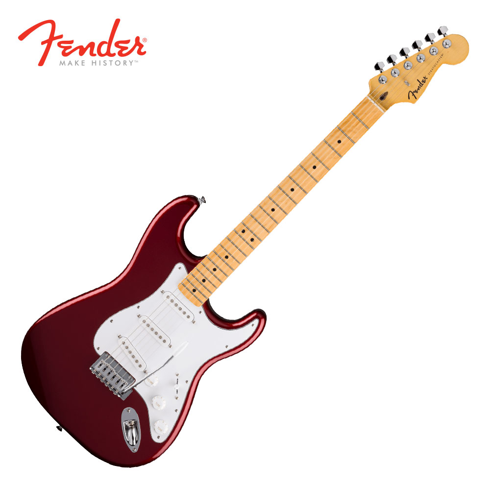 펜더 Standard Stratocaster