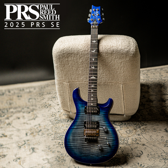 PRS SE 커스텀 24 플로이드 LTD