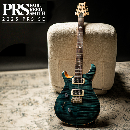 PRS SE Custom 커스텀 24 레프티