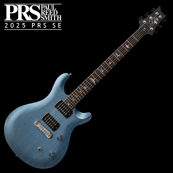 PRS SE SE CE 24 스탠다드 스톱테일
