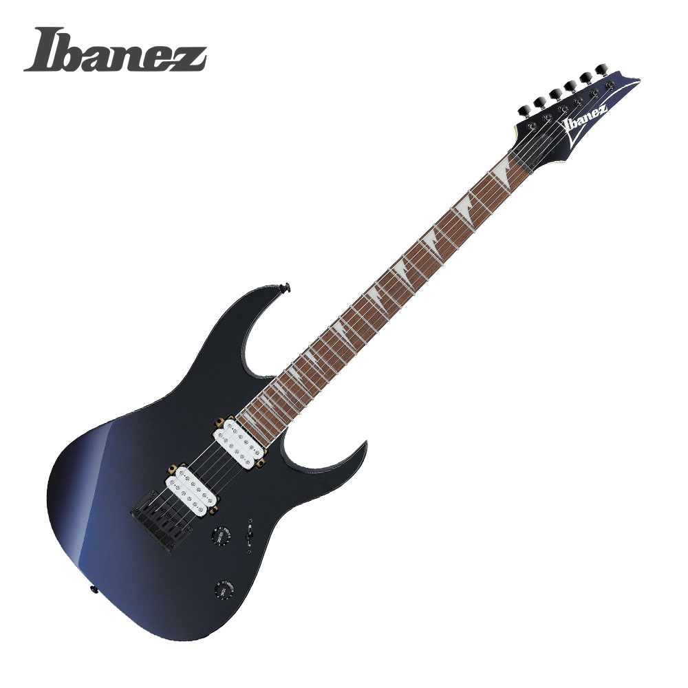 아이바네즈 RG421DX