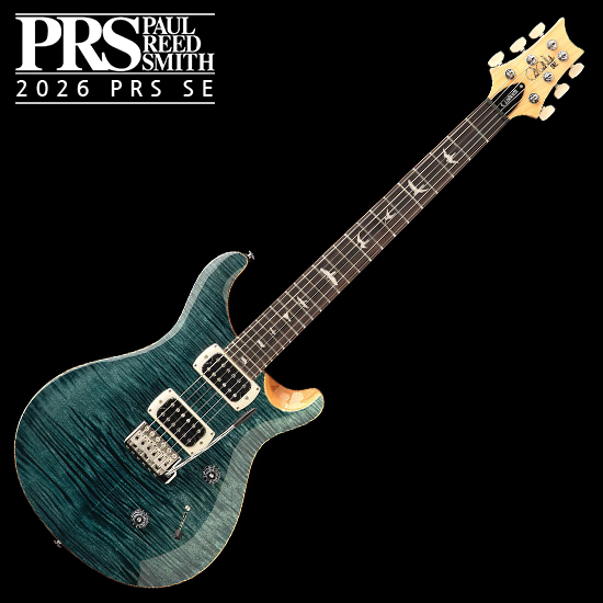 PRS SE SE Custom 24