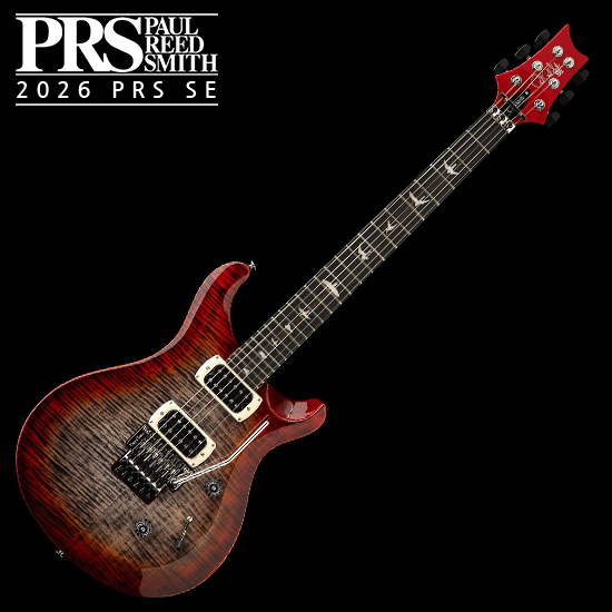 PRS SE Custom 24 Floyd