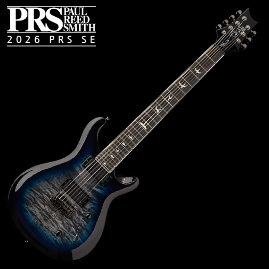 피알에스 피알에스 SE Special Semi-Hollow