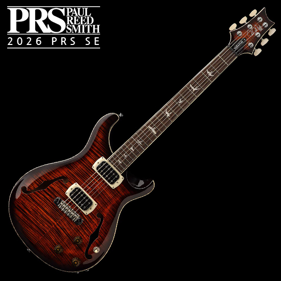 피알에스 피알에스 SE DGT Standard