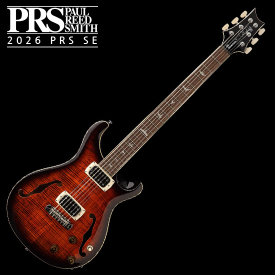피알에스 피알에스 SE Mark Holcomb 7