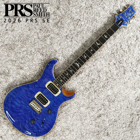 피알에스 피알에스 SE Custom 24