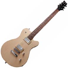 프라무스 Panthera Pro