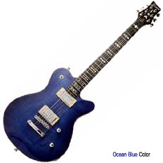 프라무스 Panthera Custom