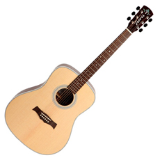 트레비 Dreadnought D100 OPN