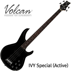 볼캔 Ivy Special Active