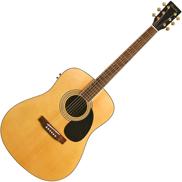 카운티스 Dreadnought DSR-40e