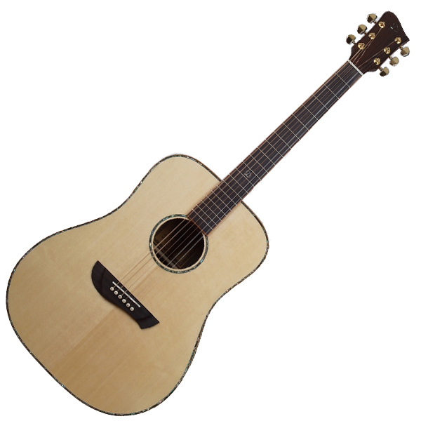 다이나톤 Dreadnought D300