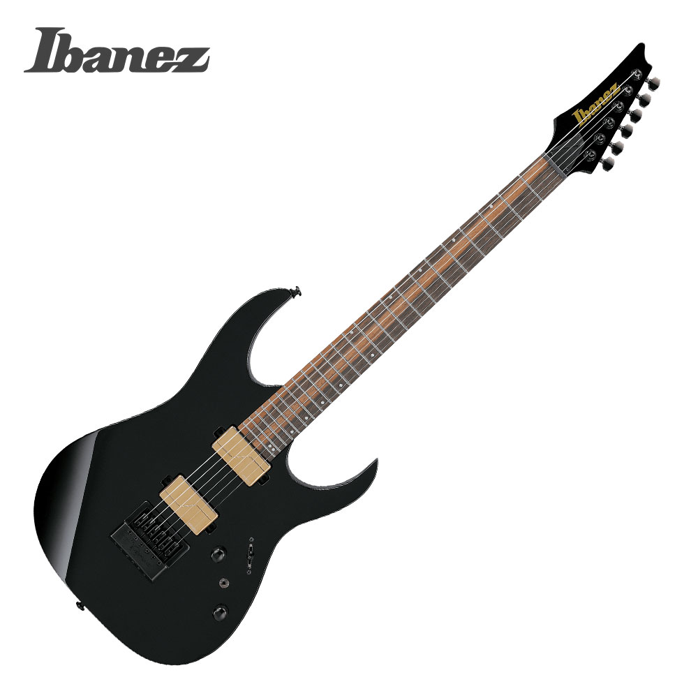 아이바네즈 RG421PB