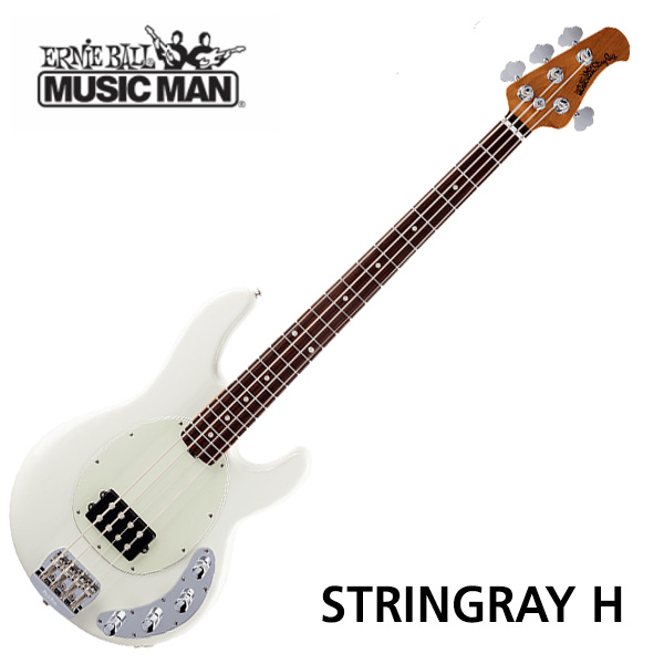뮤직맨 StingRay H
