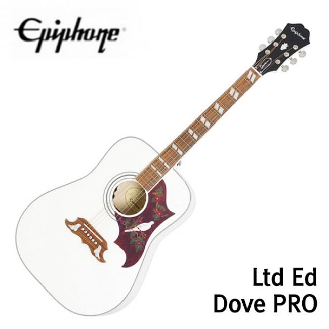 에피폰 Dove Pro