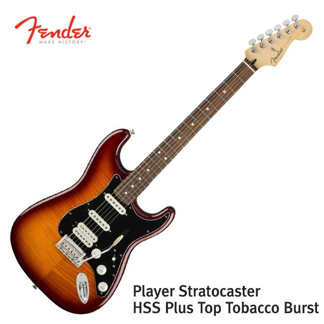 펜더 Player Stratocaster Plus Top