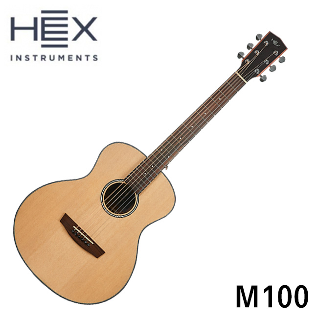 헥스 Hive M100