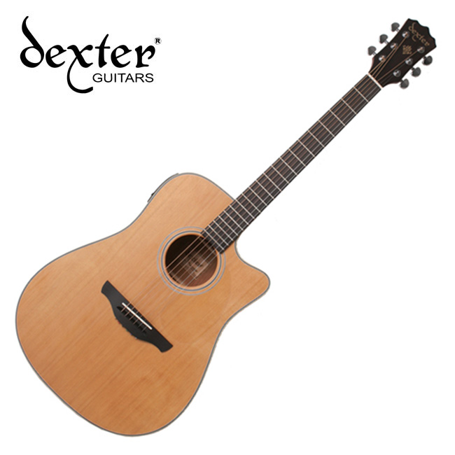 덱스터 AD-100SCE