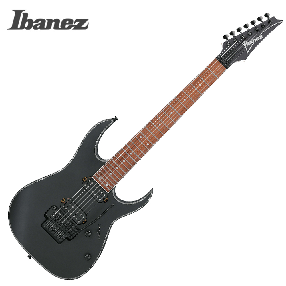 아이바네즈 RG7420EX