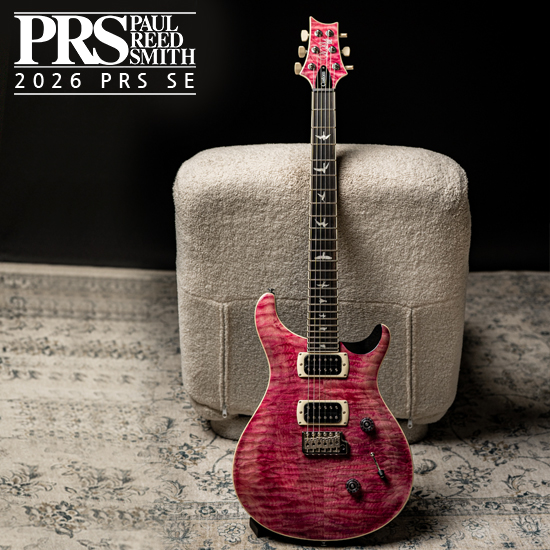 피알에스 PRS SE DGT David Grissom Trem