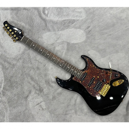 스윙 Classic Pro 2