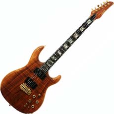 카빈 DC200T Custom