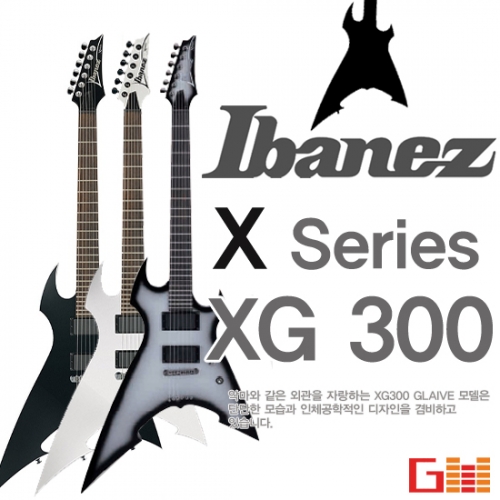 아이바네즈 XG300