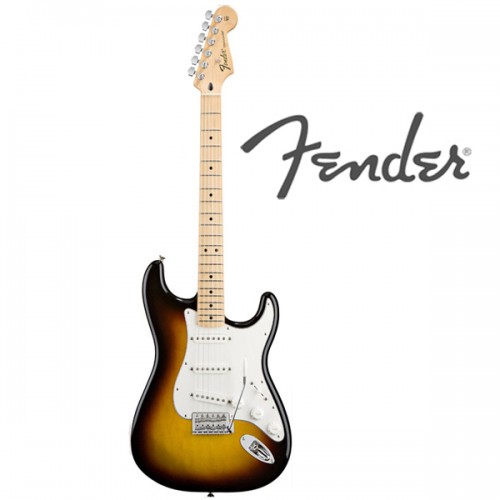 펜더 Standard Stratocaster MN