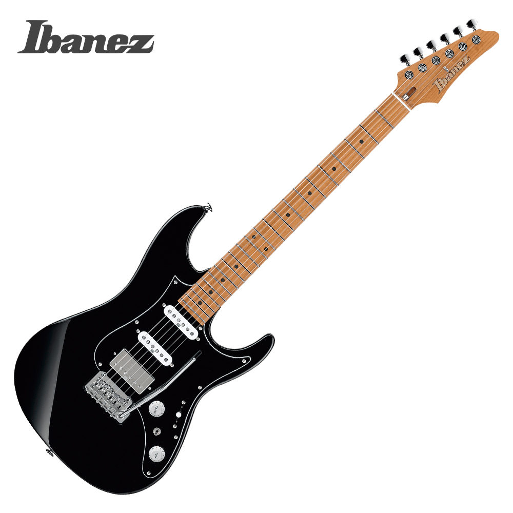 아이바네즈 AZ2204B
