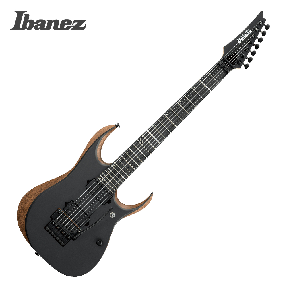 아이바네즈 RGDR4327