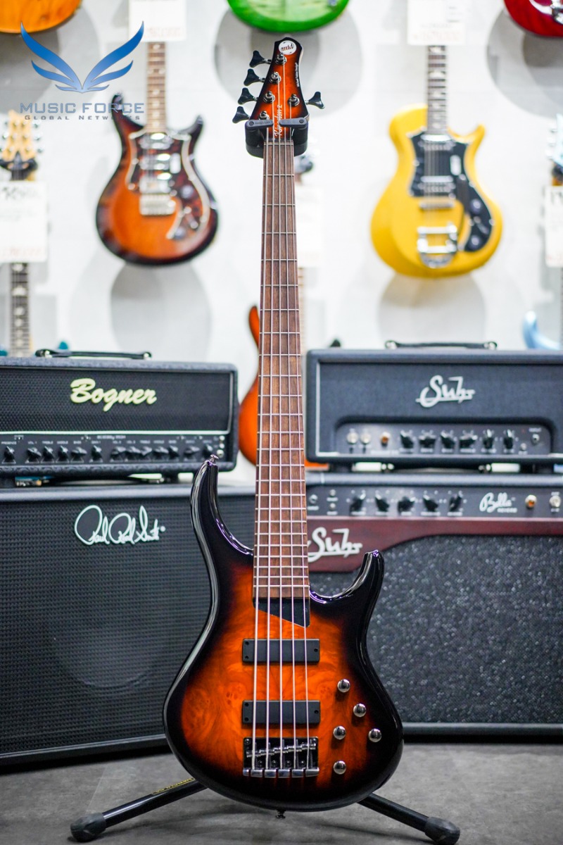 null Kingston Z 5 String
