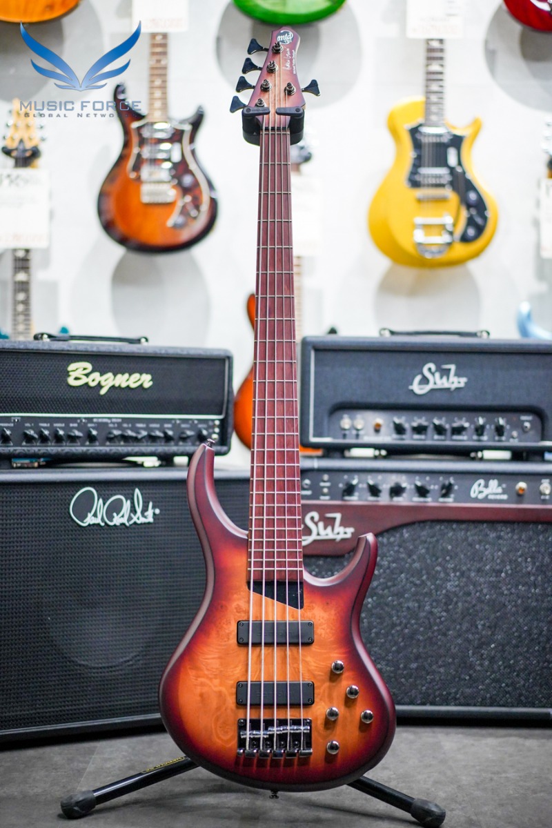 null Kingston Andrew Gouche 5 String