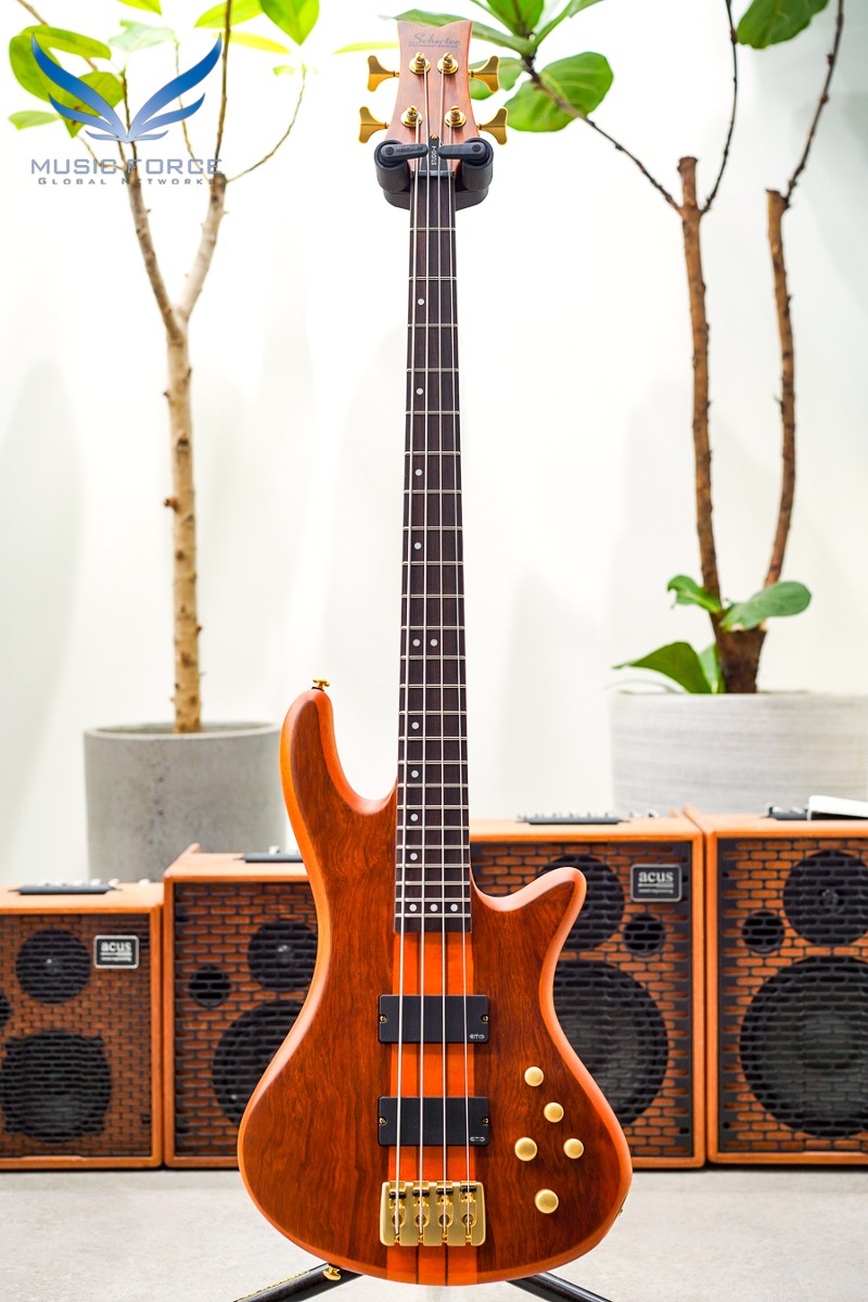 쉑터 Stiletto Studio 4현