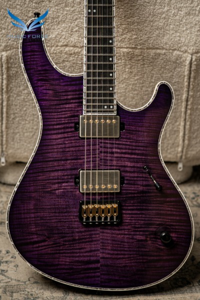 마요네스 Regius 6