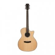 헥스 Grand Auditorium GA100CE