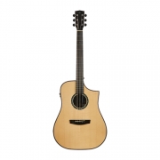 헥스 Dreadnought D750CE