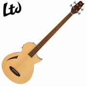 엘티디 ThinLine TL-4